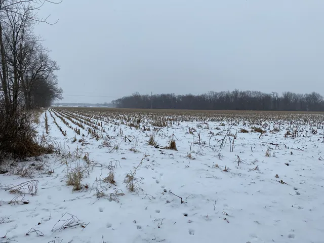 $720,000 | West Copeland Road, Unit 2, Bronson, MI 49028