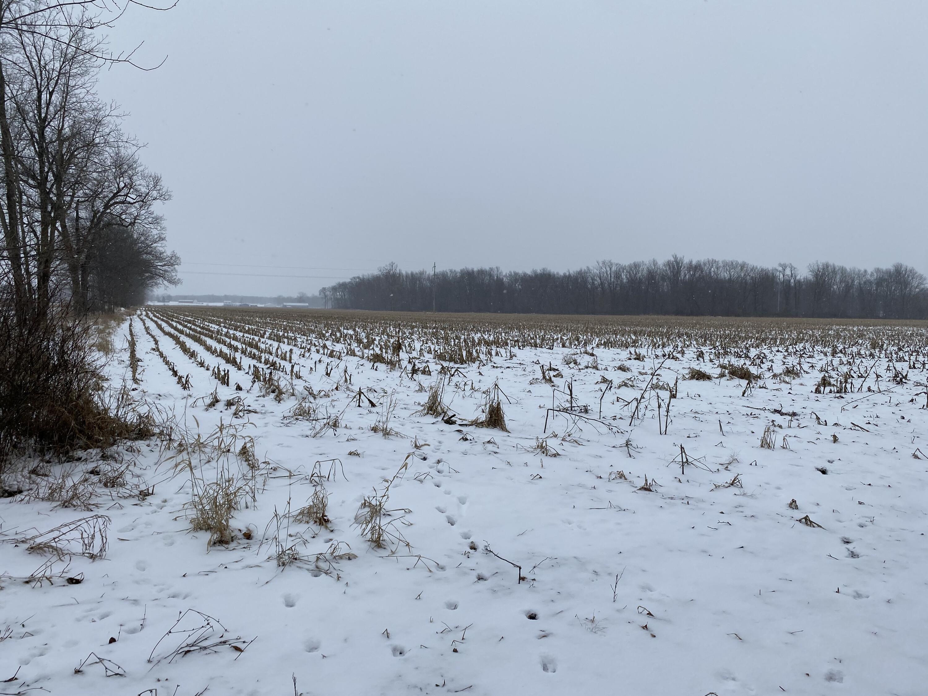 West Copeland Road, Unit 2 Bronson, MI 49028 - Photo 5 of 6 IMG_3403