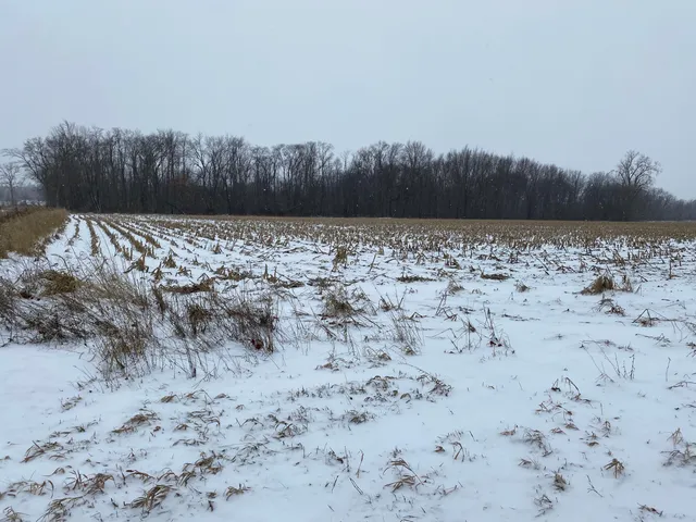 $720,000 | West Copeland Road, Unit 2, Bronson, MI 49028