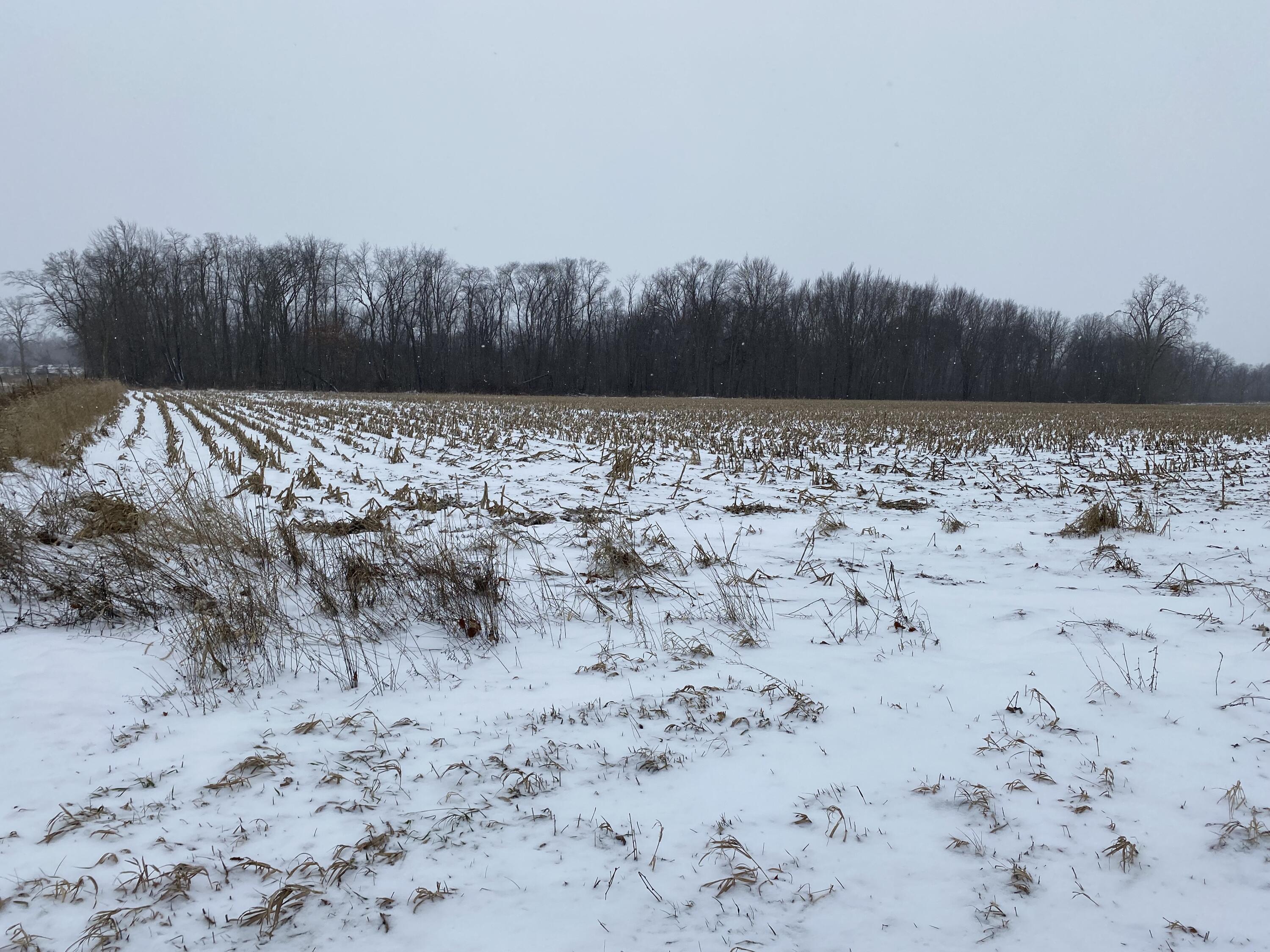 West Copeland Road, Unit 2 Bronson, MI 49028 - Photo 6 of 6 IMG_3404