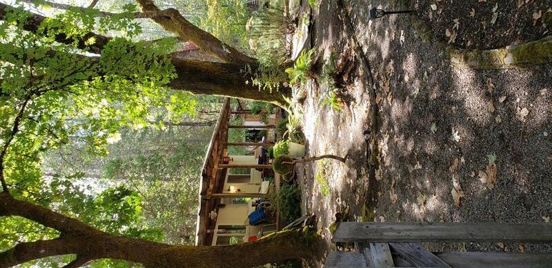800 Covered Bridge Road Rogue River, OR 97537 - Photo 2 of 25 a backyard of a house with basket ball court