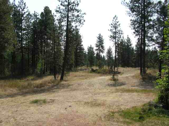 21715 South Cheney Spangle Road Cheney, WA 99004 - Photo 3 of 4