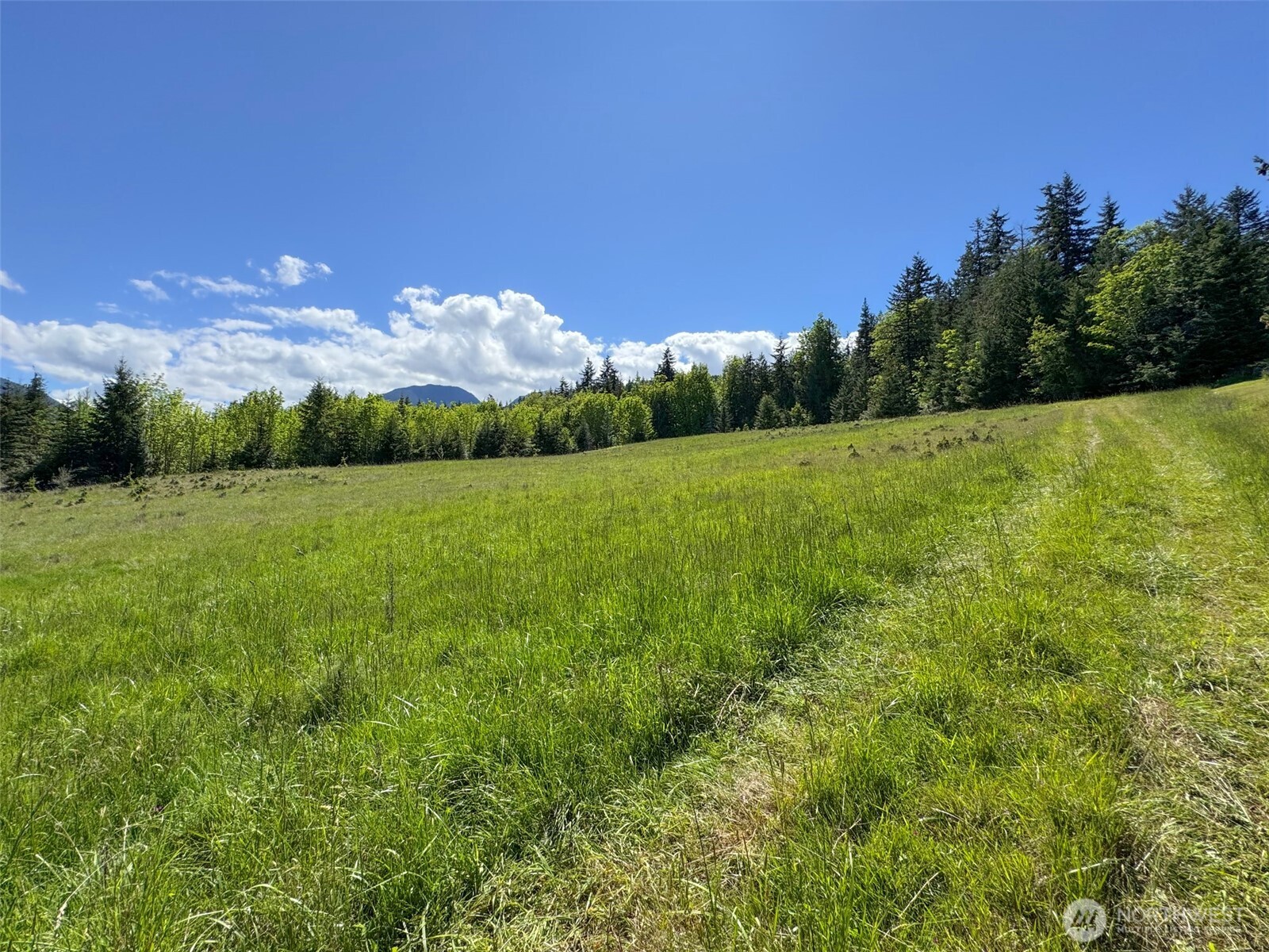 9999 Kruse Road Port Angeles, WA 98362 - Photo 13 of 39