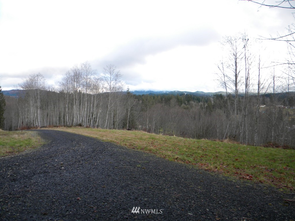 85 Stillson Road McCleary, WA 98557 - Photo 1 of 1 Gallery Image 1