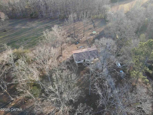 a living room with furniture a lamp and a potted plant