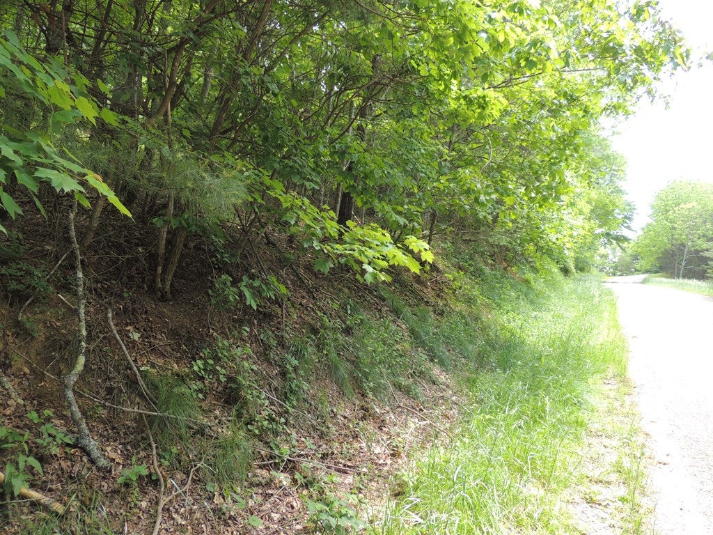 Tbd Turkey Knob Road, Unit 12 13 Independence, VA 24348 - Photo 4 of 7 Gallery Image 4