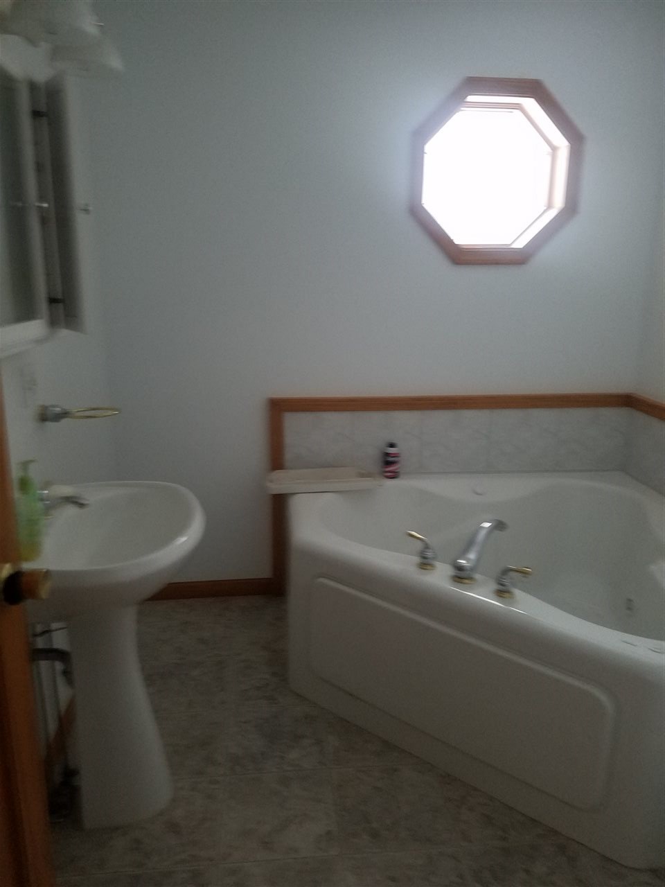 8141 Creighton Road Southwest South Boardman, MI 49680 - Photo 12 of 14 1840855-11.JPG