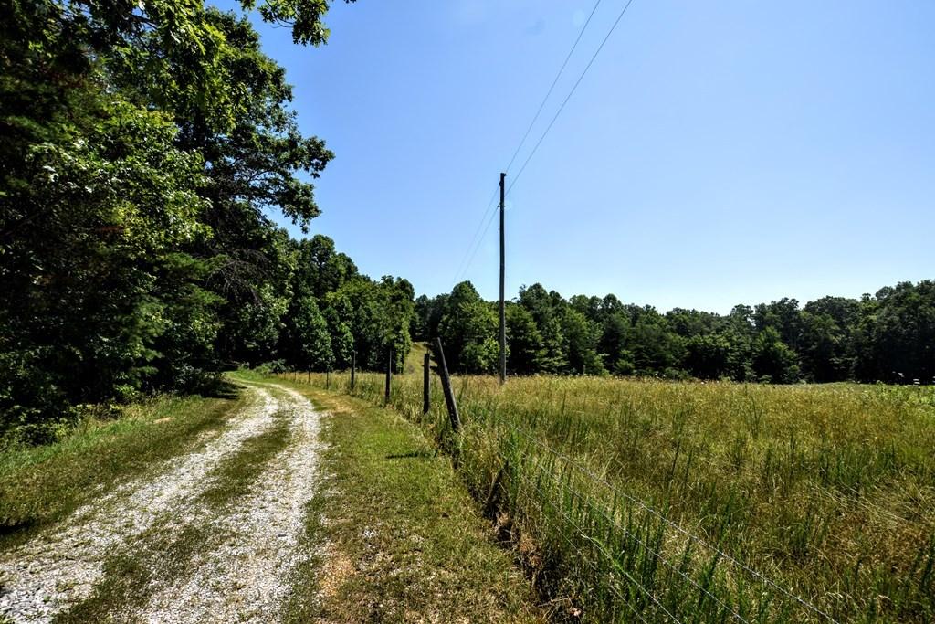 369 Sabo Road Grandview, TN 37337 - Photo 15 of 44 15