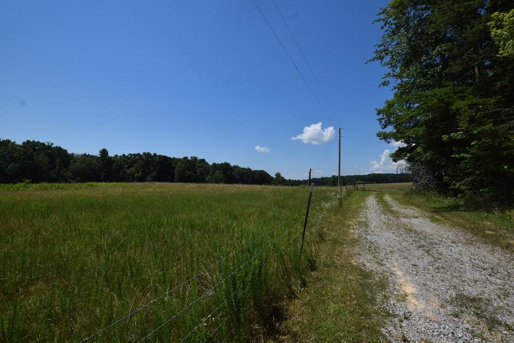 369 Sabo Road Grandview, TN 37337 - Photo 16 of 44 16