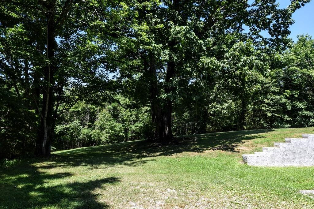 369 Sabo Road Grandview, TN 37337 - Photo 18 of 44 18