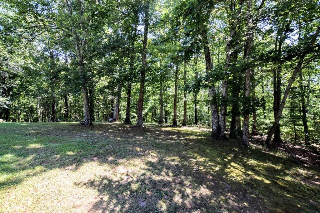 369 Sabo Road Grandview, TN 37337 - Photo 19 of 44 19