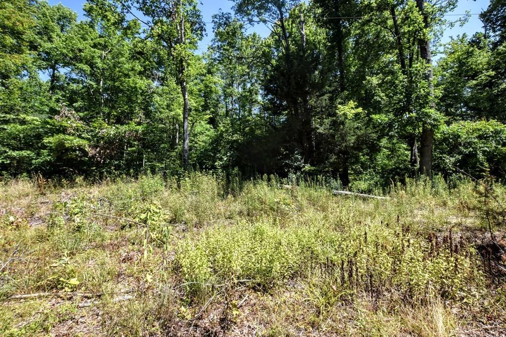 369 Sabo Road Grandview, TN 37337 - Photo 3 of 44 3