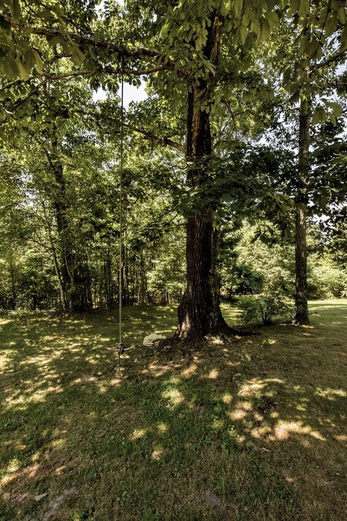 369 Sabo Road Grandview, TN 37337 - Photo 33 of 44 33