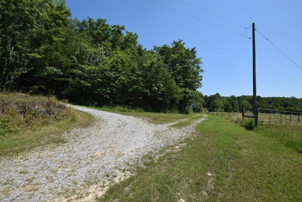 369 Sabo Road Grandview, TN 37337 - Photo 35 of 44 35