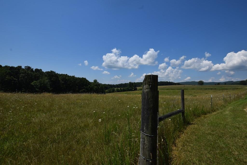 369 Sabo Road Grandview, TN 37337 - Photo 36 of 44 36