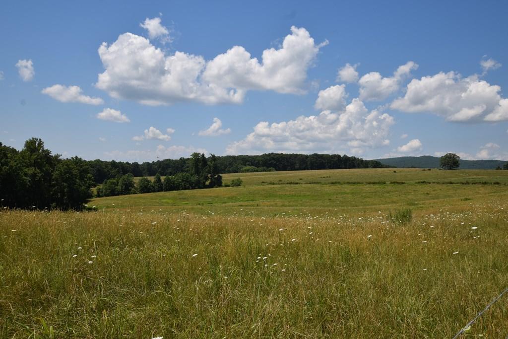 369 Sabo Road Grandview, TN 37337 - Photo 38 of 44 38