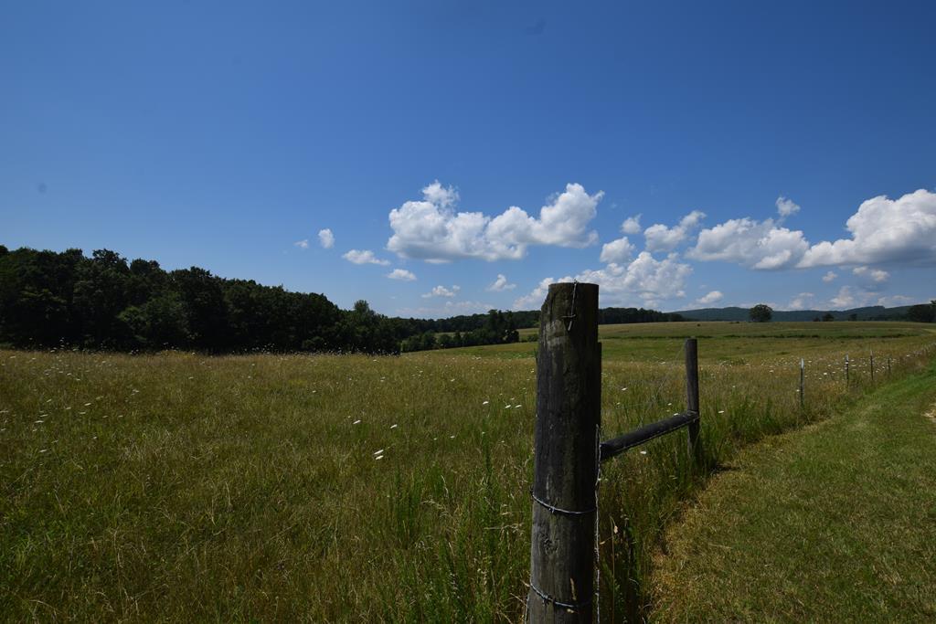 369 Sabo Road Grandview, TN 37337 - Photo 39 of 44 39