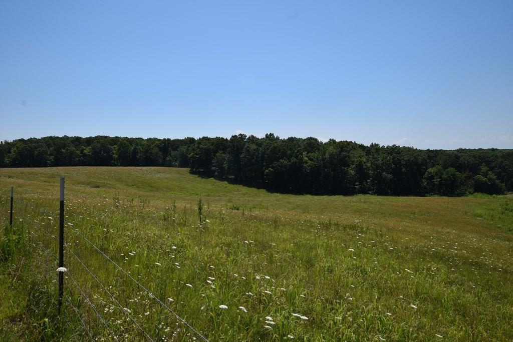 369 Sabo Road Grandview, TN 37337 - Photo 41 of 44 41