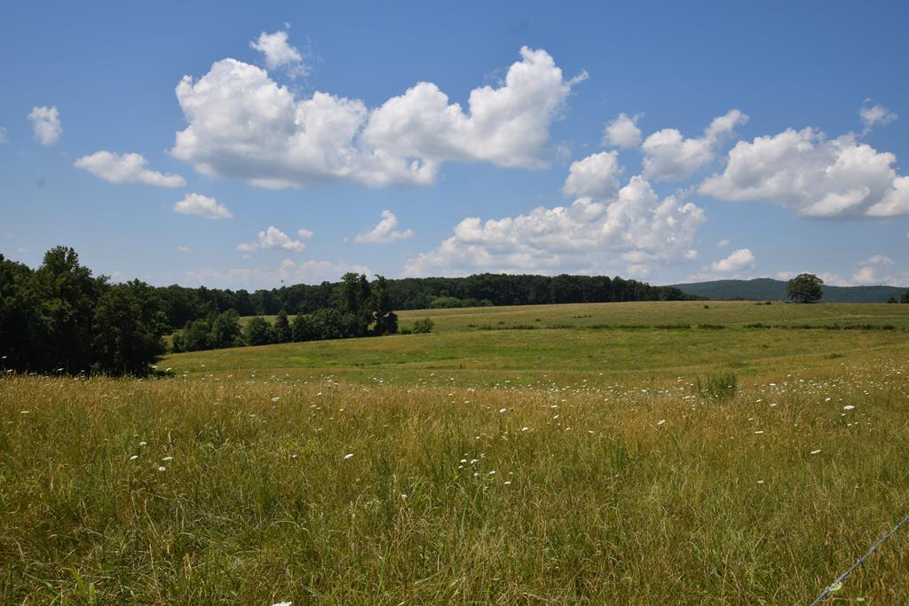 369 Sabo Road Grandview, TN 37337 - Photo 42 of 44 42