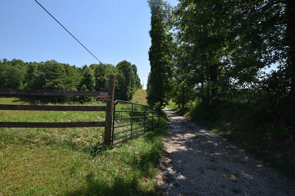 369 Sabo Road Grandview, TN 37337 - Photo 43 of 44 43