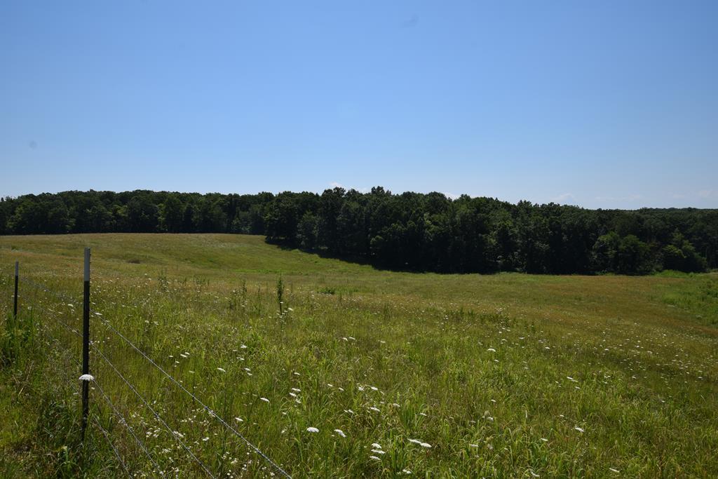 369 Sabo Road Grandview, TN 37337 - Photo 44 of 44 44