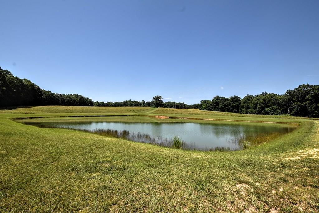 369 Sabo Road Grandview, TN 37337 - Photo 8 of 44 8