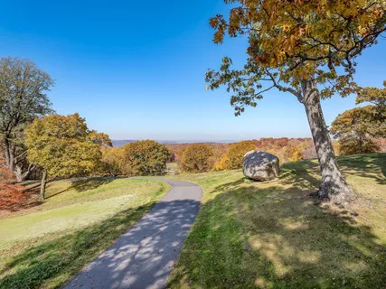 a view of a lake with beach and large trees