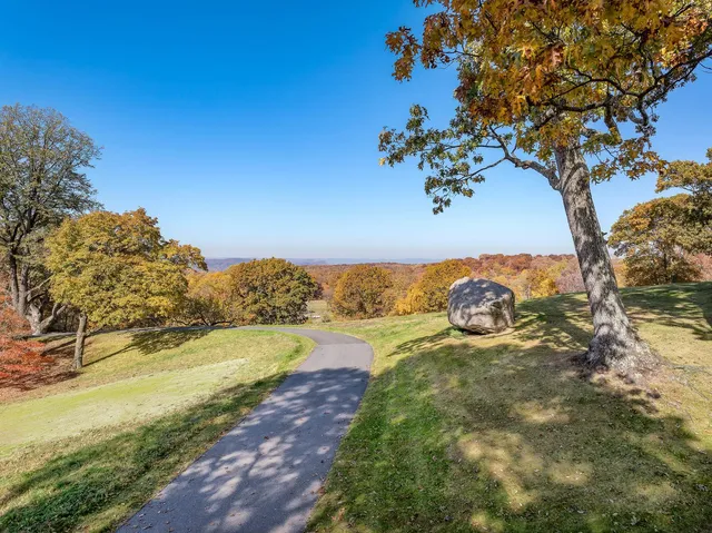 a view of a lake with beach and large trees