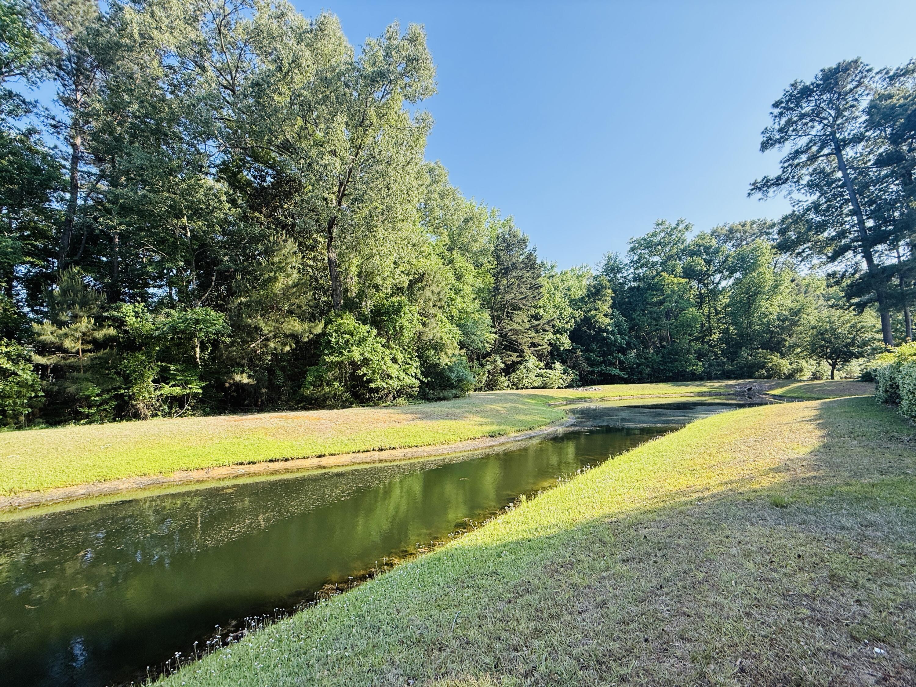 1439 Roustabout Way Charleston, SC 29414 - Photo 34 of 67