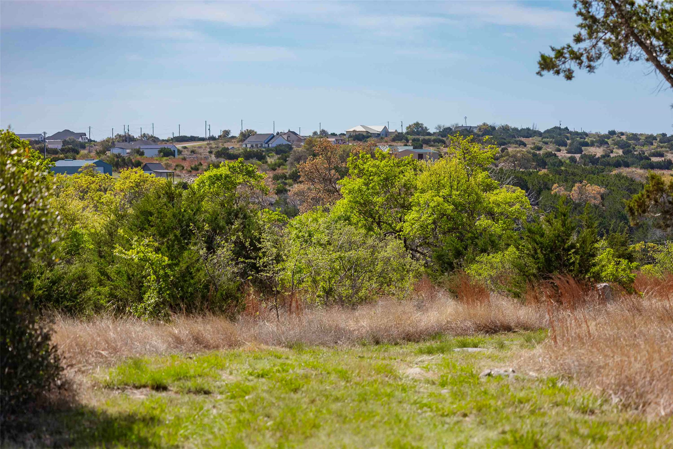 Tbd Saddle Ridge Drive Bertram, TX 78605 - Photo 4 of 40 View of undeveloped land