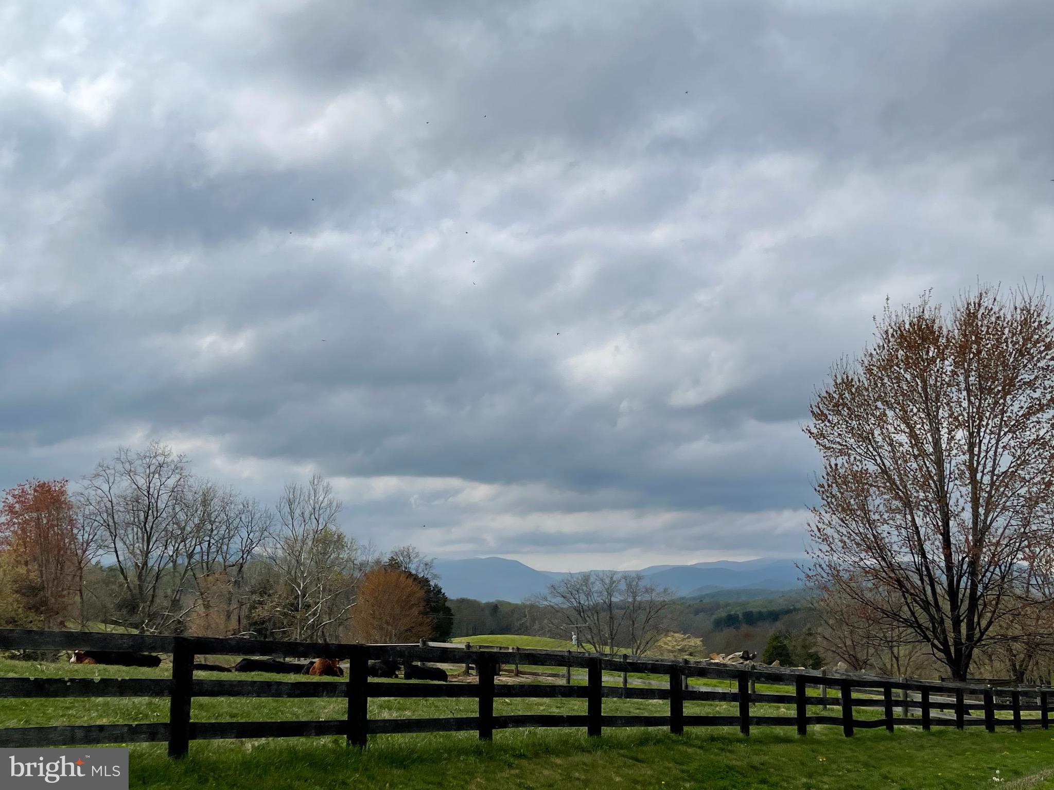13390 Reva Road Boston, VA 22713 - Photo 4 of 40