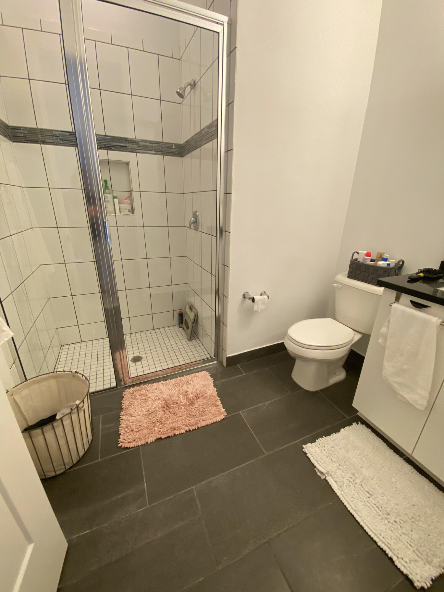 17296 Sea Blossom Way Boca Raton, FL 33496 - Photo 31 of 50 3rd bathroom