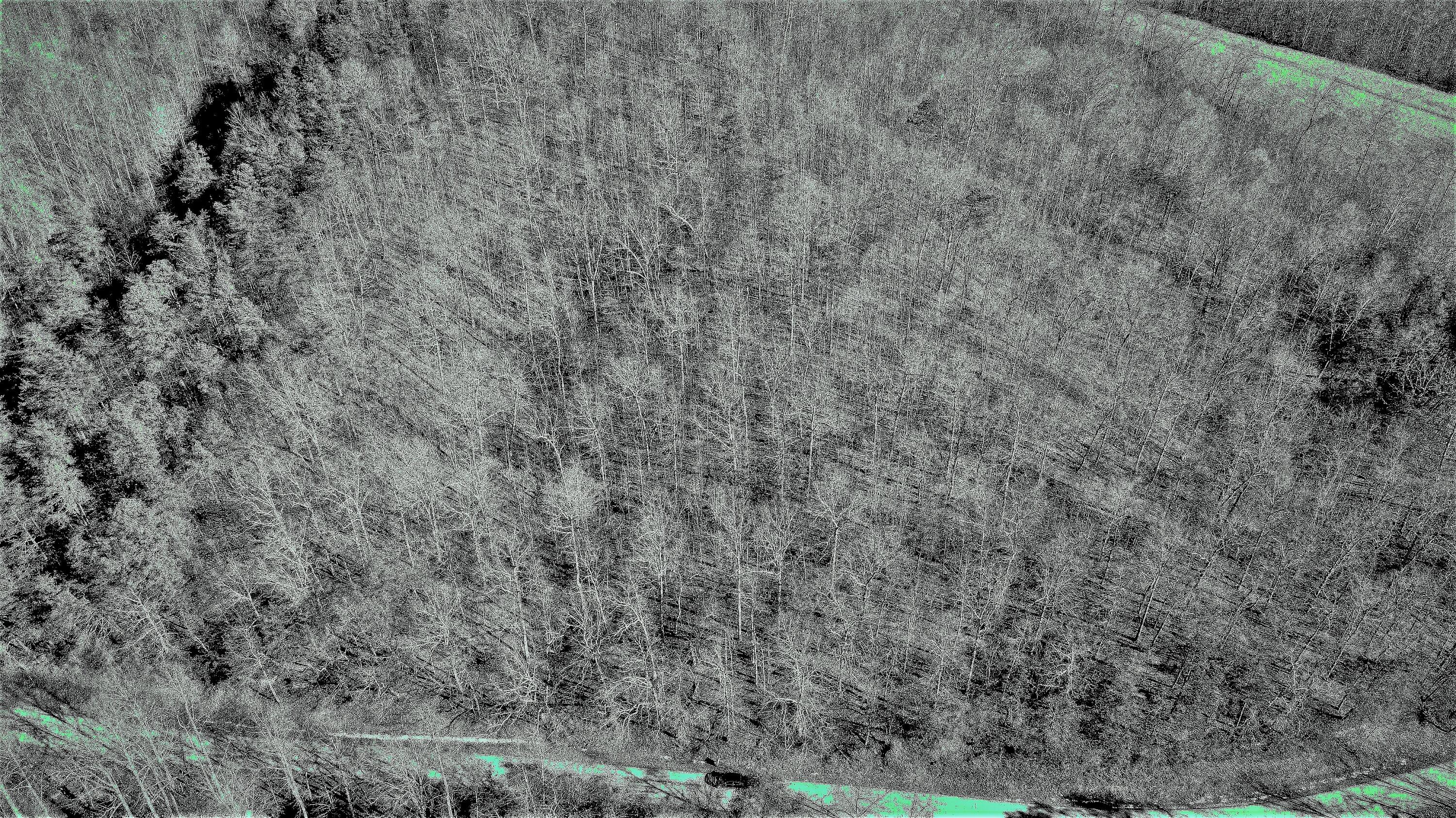 999 Slate Lick Road London, KY 40741 - Photo 13 of 14 DJI_0420