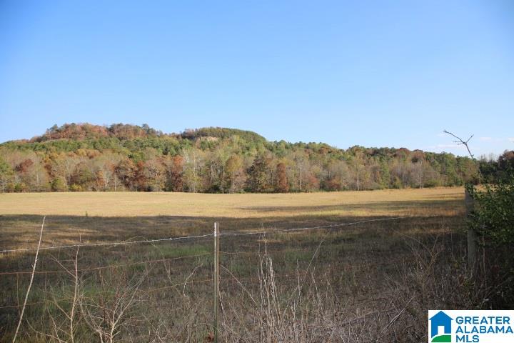 261 Cherry Lane Cleveland, AL 35049 - Photo 5 of 16
