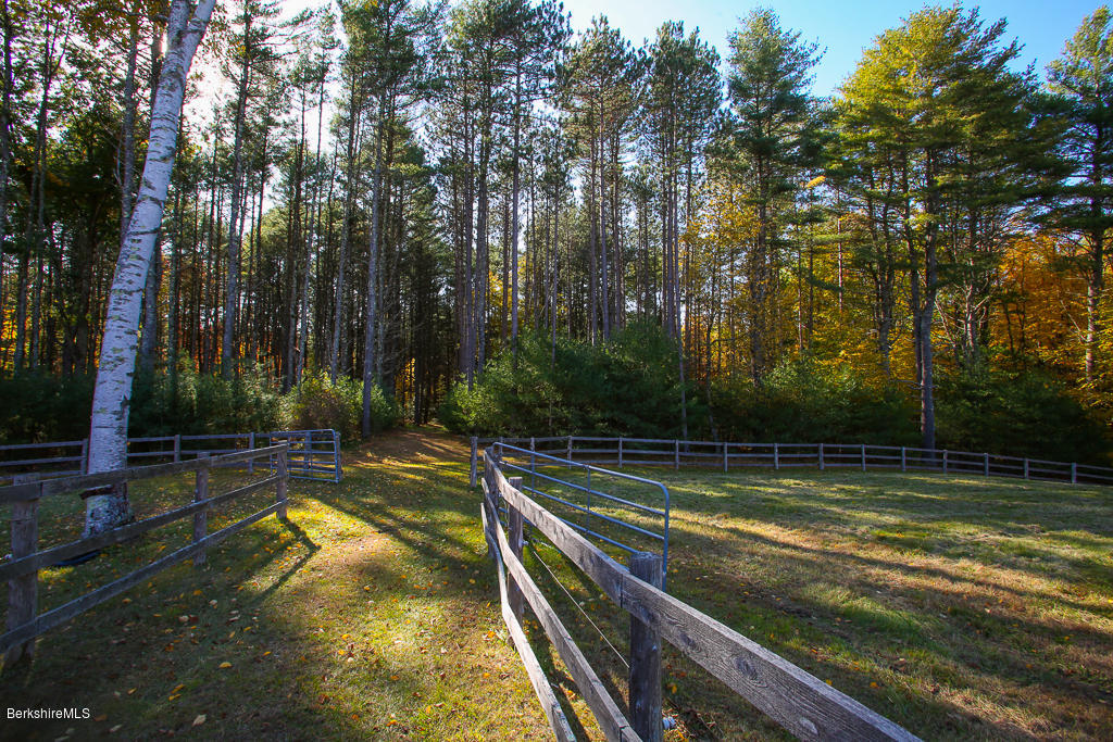 82 Chestnut Hill Loop Montague, MA 01351 - Photo 33 of 36 a view of swimming pool with trees in the background