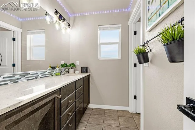 a bathroom with a granite countertop sink a potted plant and a window