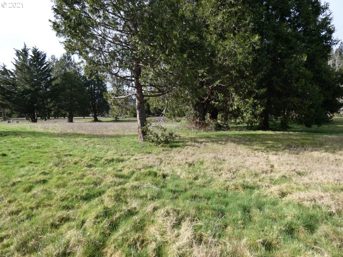 17 Omlid Drive Springfield, OR 97478 - Photo 5 of 12 a view of outdoor space with trees all around