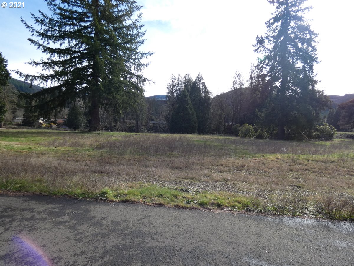 17 Omlid Drive Springfield, OR 97478 - Photo 6 of 12 a view of outdoor space with trees