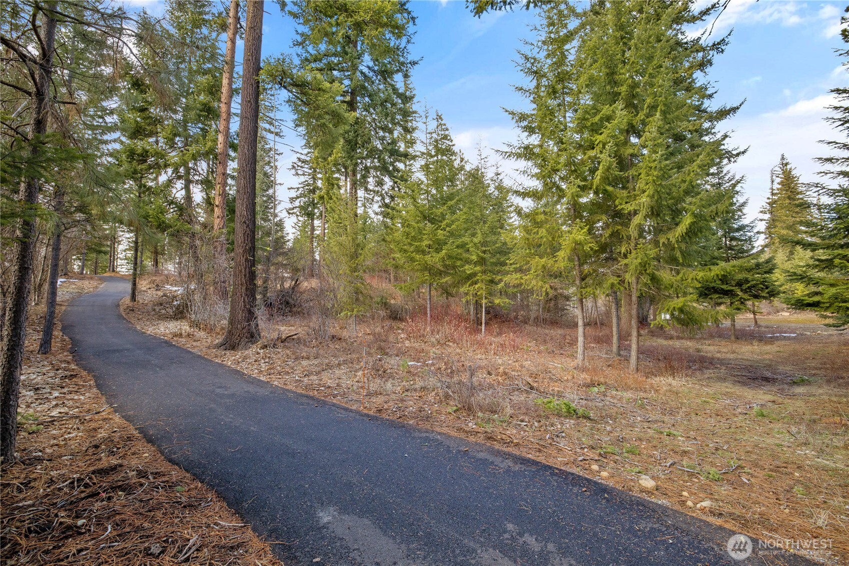 11 Red Sky Way Ronald, WA 98940 - Photo 10 of 12