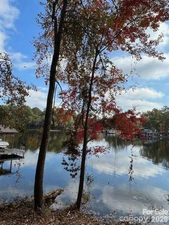a view of a lake with a tree
