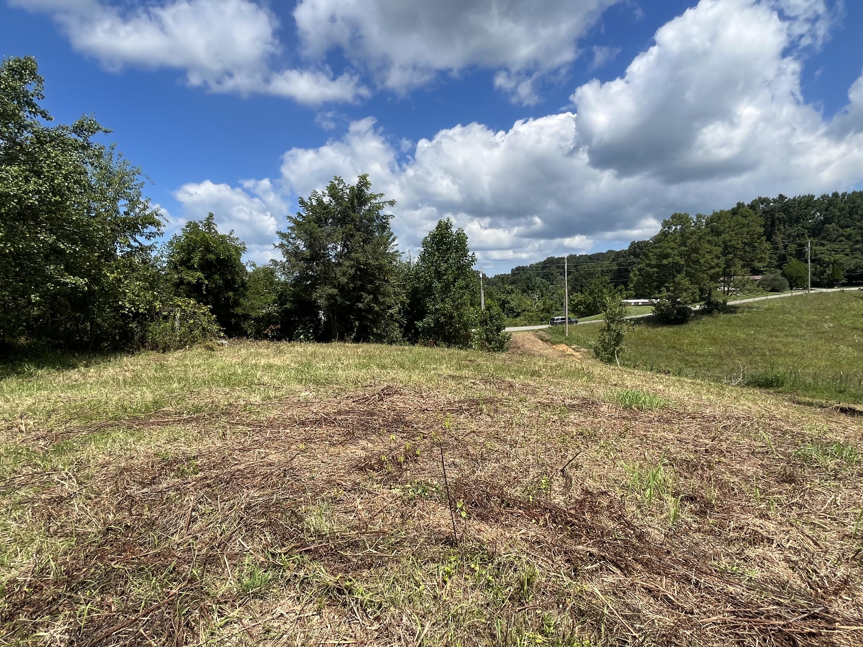 1411 Fairview Road, Unit 4 Afton, TN 37616 - Photo 1 of 9 4