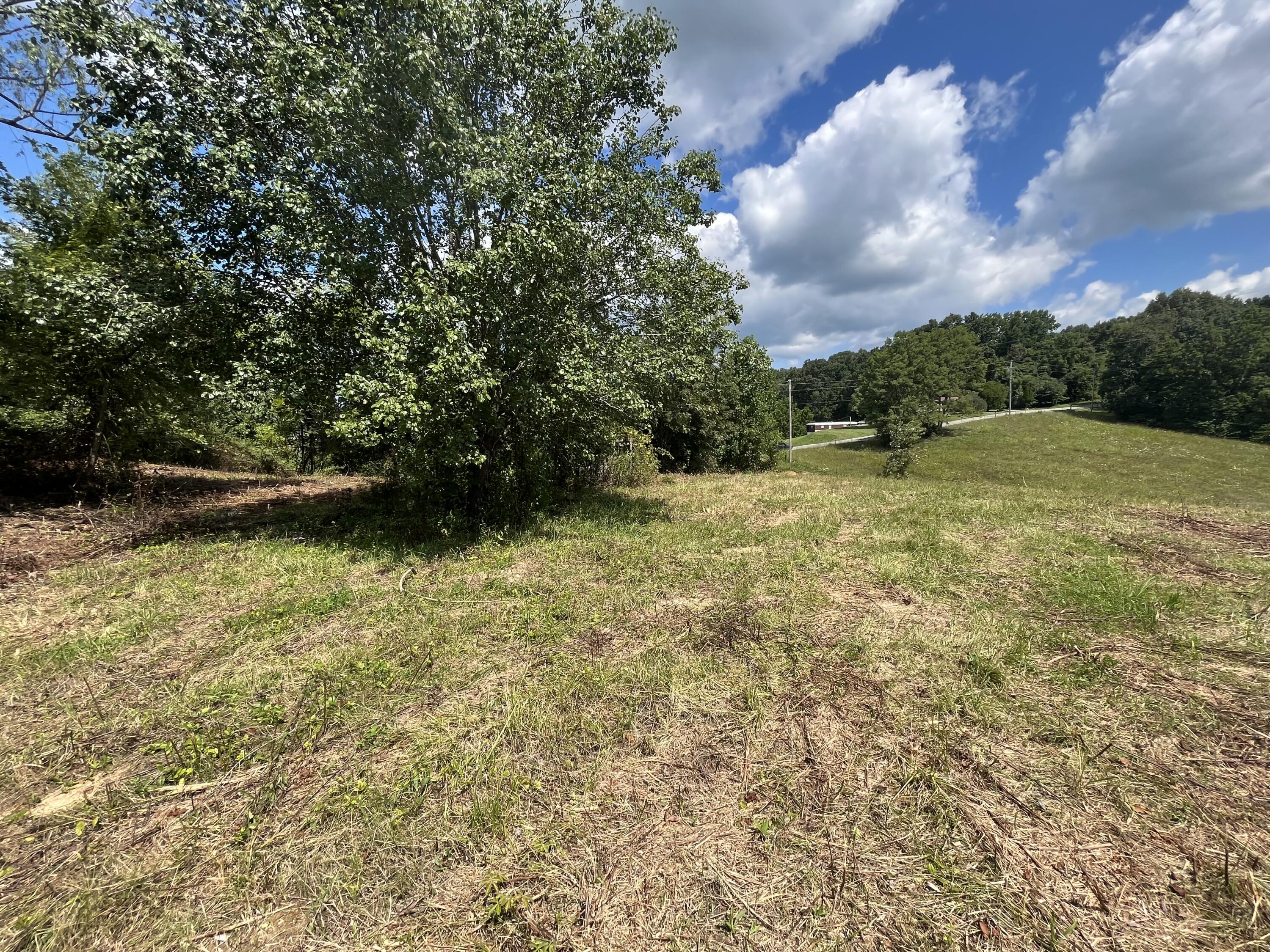 1411 Fairview Road, Unit 4 Afton, TN 37616 - Photo 2 of 9 3