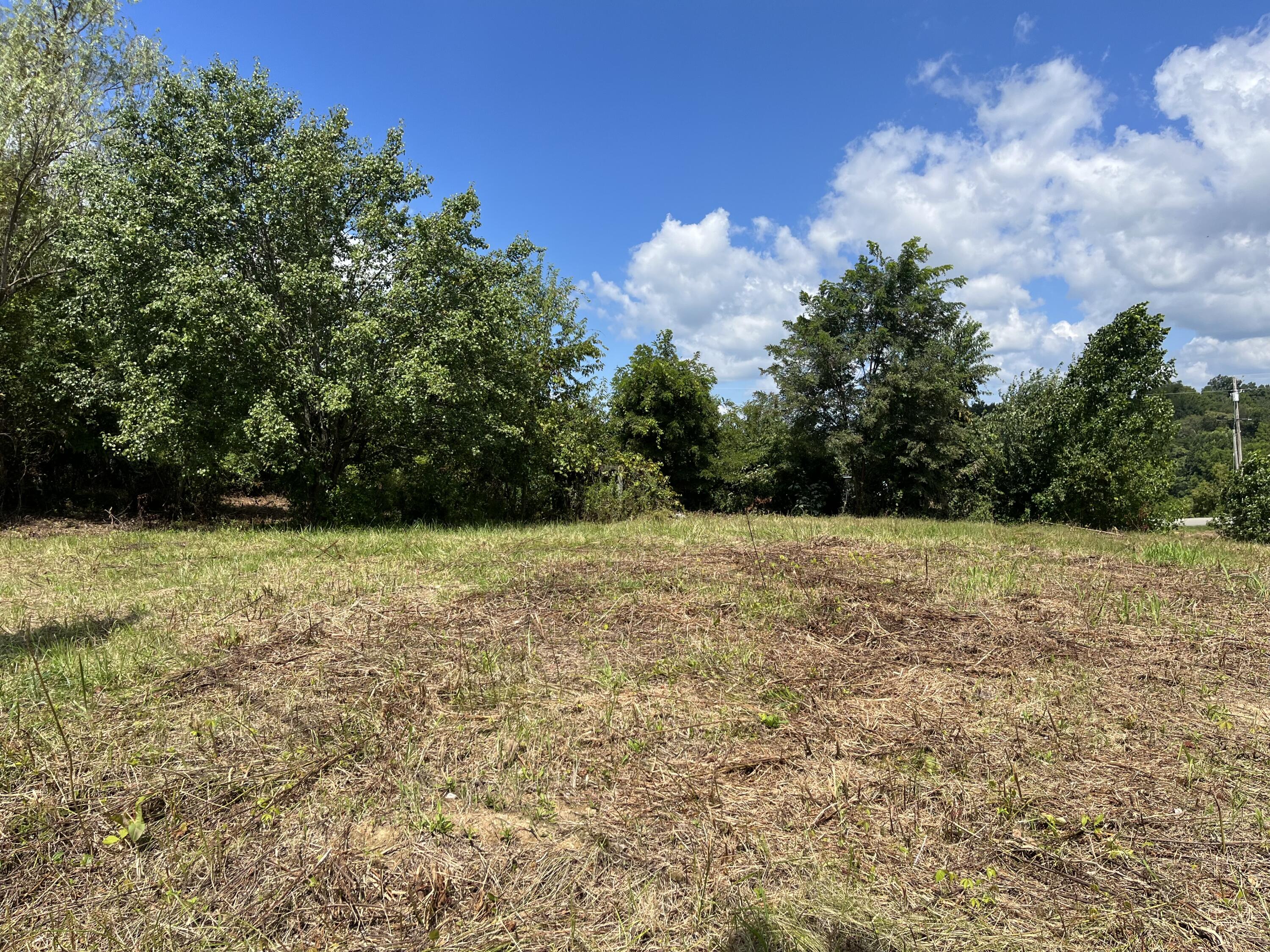 1411 Fairview Road, Unit 4 Afton, TN 37616 - Photo 3 of 9 2