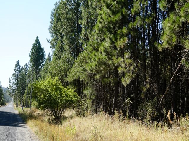 0 West White Road Cheney, WA 99004 - Photo 2 of 5