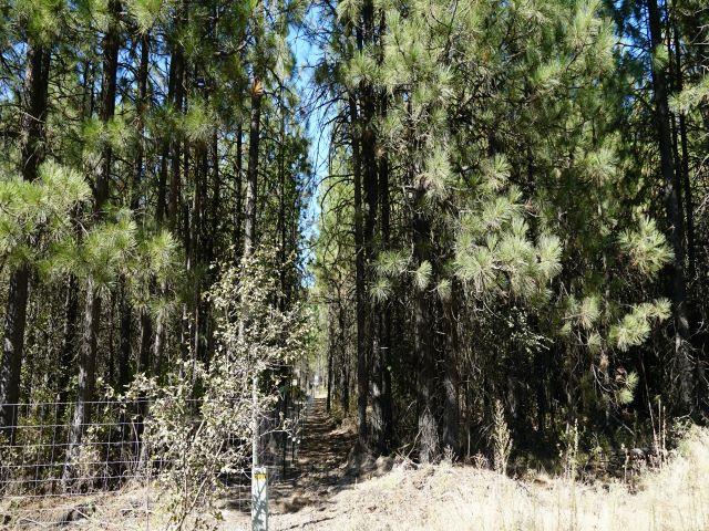 0 West White Road Cheney, WA 99004 - Photo 3 of 5