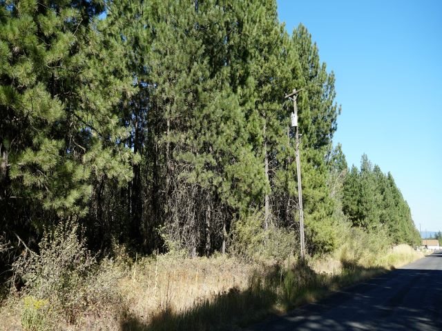 0 West White Road Cheney, WA 99004 - Photo 4 of 5