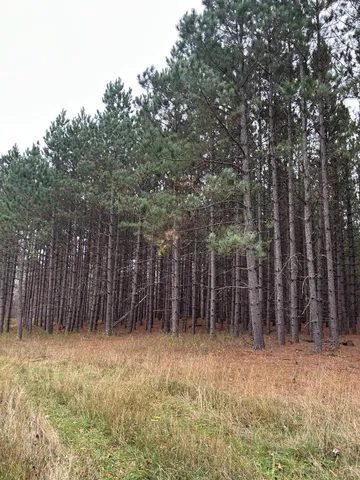 $485,000 | 160-ac Basswood Lake Road, Ponsford, MN 56575