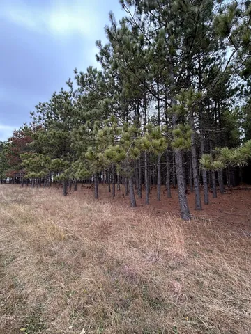 $485,000 | 160-ac Basswood Lake Road, Ponsford, MN 56575