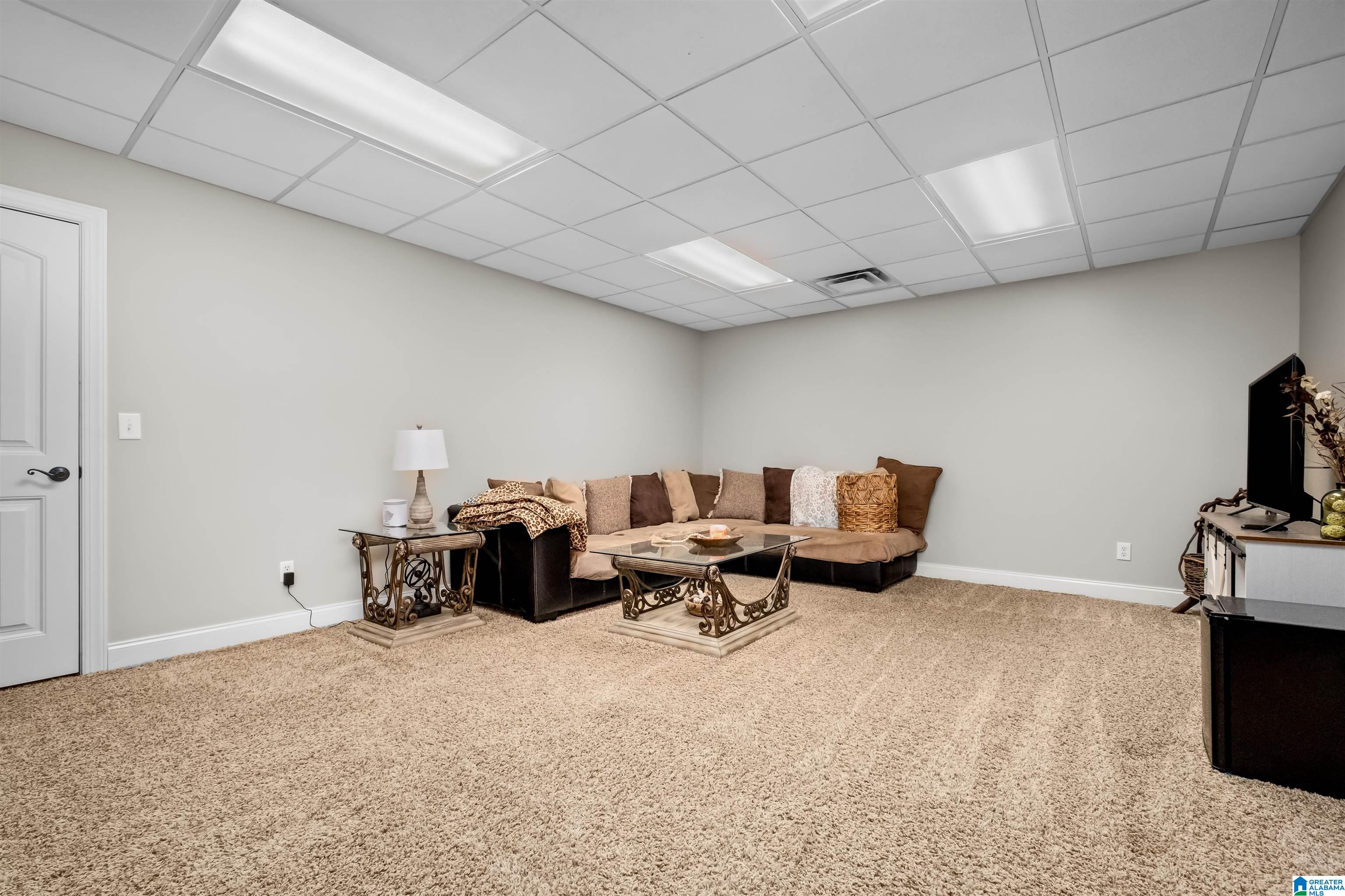 361 Mt Zion Road Cropwell, AL 35054 - Photo 46 of 74
