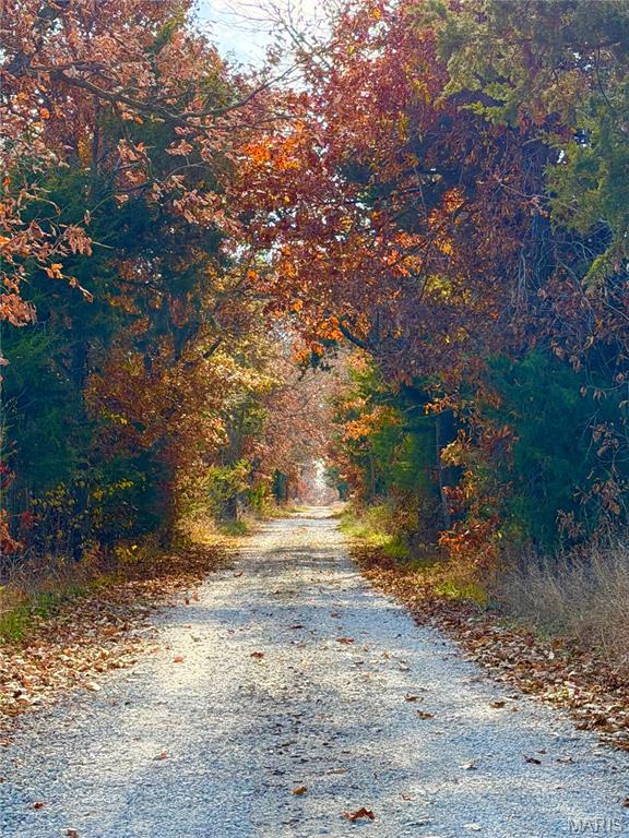 41372 Eisenhower Trail Perry, MO 63462 - Photo 23 of 23